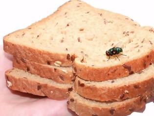 Φωτογραφία για Τι συμβαίνει αν κάτσει μια μύγα στο φαγητό σας (video)