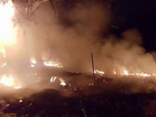 Φωτογραφία για Καταστροφή στη Ζάκυνθο – Εκτός ελέγχου η μεγάλη πυρκαγιά