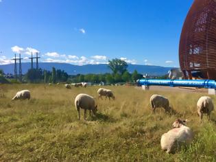 Φωτογραφία για Μετρώντας προβατάκια στο CERN