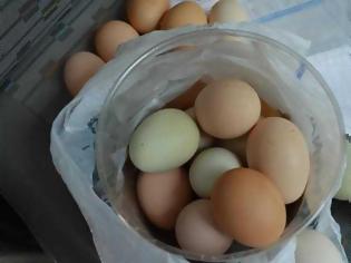 Φωτογραφία για Πώς θα καταλάβετε πότε τα αυγά είναι φρέσκα