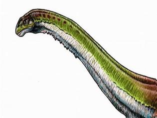 Φωτογραφία για Παταγοτιτάν, ο μεγαλύτερος δεινόσαυρος που υπήρξε στη Γη