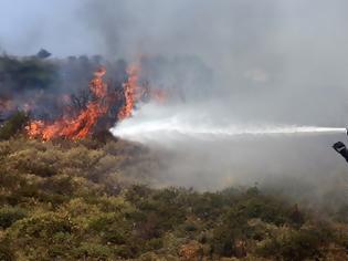 Φωτογραφία για Οδηγίες αυτοπροστασίας των πολιτών από τις δασικές πυρκαγιές