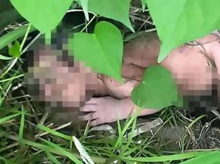 Φωτογραφία για Εικόνες σοκ:Πέταξαν νεογέννητο κοριτσάκι σε θάμνο με αγκάθια για να πεθάνει