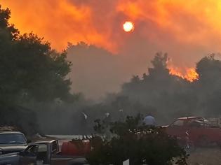 Φωτογραφία για Κεφαλονιά: Σε ύφεση η μεγάλη φωτιά ...Εσωσαν τα σπίτια οι πυροσβέστες