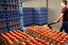 Δεν είναι μολυσμένα μόνο τα αυγά. Είναι ανθυγιεινή όλη η τροφική αλυσίδα των πολυεθνικών εταιρειών