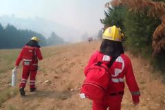ΕΕΣ: Περισσότεροι από 150 Εθελοντές στις πυρκαγιές σε Κάλαμο και Αμαλιάδα