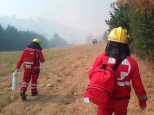 Φωτογραφία για ΕΕΣ: Περισσότεροι από 150 Εθελοντές στις πυρκαγιές σε Κάλαμο και Αμαλιάδα