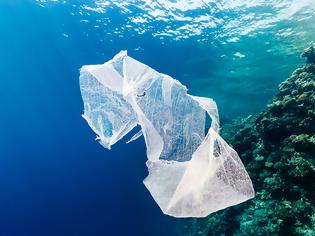 Φωτογραφία για Η πλαστική σακούλα στα πιο θανατηφόρα απορρίμματα για τη θαλάσσια ζωή