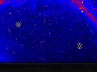 Φωτογραφία για Ανακαλύφθηκε το πιο γρήγορο άστρο νετρονίων