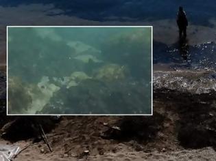 Φωτογραφία για Βίντεο - σοκ με τη ρύπανση από το μαζούτ στον βυθό της Σαλαμίνας