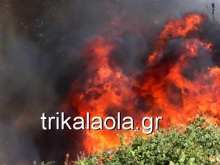 Φωτογραφία για Κόλαση φωτιάς στο Μεγάλο Κεφαλόβρυσο Τρικάλων