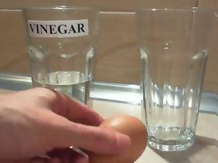 Φωτογραφία για Δείτε τι θα συμβεί αν βάλετε ένα αβγό σε ξίδι! [video]