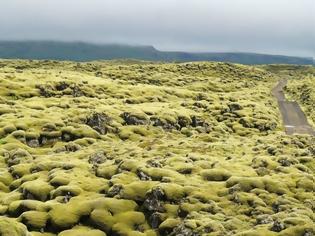 Φωτογραφία για Τα εντυπωσιακά λιβάδια βρύων της Ισλανδίας