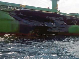 Φωτογραφία για Αποζημίωση 660.000 δολαρίων ζητά από ελληνική ναυτιλιακή η Iino Kaiun