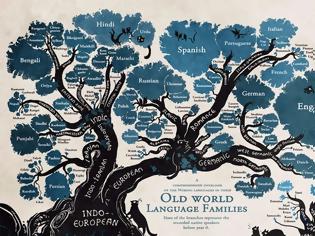 Φωτογραφία για Το δέντρο της καταγωγής των γλωσσών θα αλλάξει το τρόπο που βλέπετε τον κόσμο