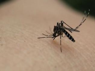 Φωτογραφία για Φθιώτιδα: Κρούσμα ελονοσίας στο ΓΝ Λαμίας