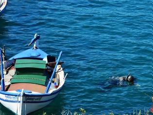 Φωτογραφία για Ψάρεψαν γιγάντιο καρχαρία «αλέτρι» στον Αστακό [photo]