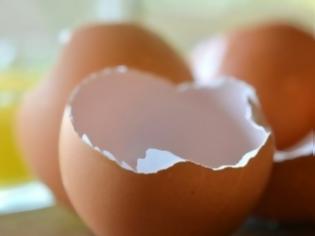 Φωτογραφία για Δύο εναλλακτικοί τρόποι να χρησιμοποιήσετε τα τσόφλια αυγών
