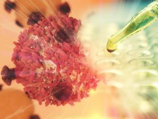 Φωτογραφία για Έρευνα σοκ για καταπολέμηση καρκίνου: Ποια πρωτεΐνη-δολοφόνος σκοτώνει τα καρκινικά κύτταρα