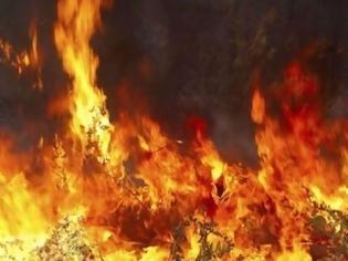 Φωτογραφία για Φωτιά σε δασική έκταση στην περιοχή Νεμούτα της Ηλείας
