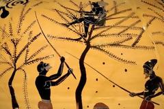 Πως έφτιαχναν οι αρχαίοι Έλληνες τις φαγώσιμες ελιές