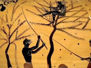 Φωτογραφία για Πως έφτιαχναν οι αρχαίοι Έλληνες τις φαγώσιμες ελιές