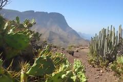 Gran Canaria, μια «ήπειρος» σε μικρογραφία! [photos]