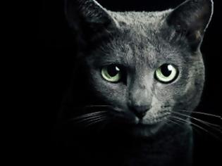 Φωτογραφία για Οι γάτες προστατεύουν εσάς και το σπίτι σας από φαντάσματα και αρνητικά πνεύματα!