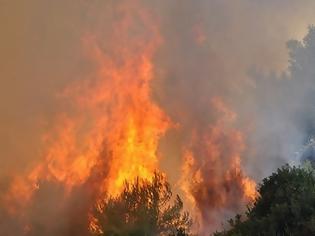 Φωτογραφία για «Καίει» το πόρισμα για τις φωτιές στη Ζάκυνθο