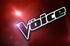 Παίκτης του The Voice δήλωσε υποψηφιότητα για την Eurovision 2018