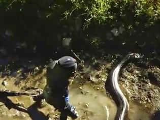 Φωτογραφία για «Ετσι είναι να σε καταπίνει ένα ανακόντα»:Ο νεαρός που τον... έφαγε το φίδι περιγράφει την εμπειρία του [video]