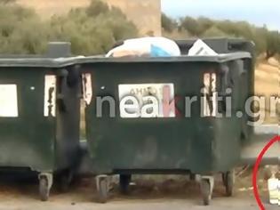 Φωτογραφία για Ηράκλειο: Πολτοποίησαν κουταβάκια και τα πέταξαν στα σκουπίδια