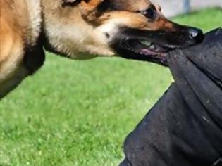 Φωτογραφία για Αγρίνιο: Σοβαρός τραυματισμός αστυνομικού από επίθεση σκύλου