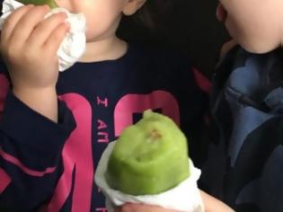Φωτογραφία για Ποια Ελληνίδα μάνα κοροϊδεύει τα παιδιά της λέγοντάς τους ότι το ακτινίδιο είναι παγωτό;