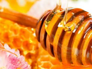 Φωτογραφία για Το μέλι και οι ποικιλίες του
