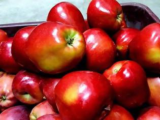 Φωτογραφία για Επιχείρησαν να κλέψουν 250 κιλά μήλα, αλλά τους έπιασε στα πράσα ο αγρότης