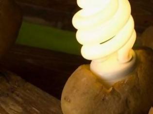 Φωτογραφία για Απίστευτο κόλπο: Δείτε πως με μια πατάτα μπορείτε να έχετε δωρεάν φως για ένα μήνα! (vid)
