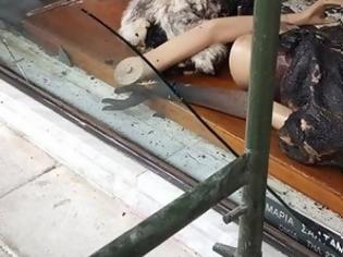 Φωτογραφία για Πάτρα: Εκαψαν με μολότοφ κατάστημα με γούνες – Πού στρέφονται οι έρευνες
