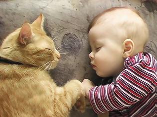 Φωτογραφία για Τα παιδιά που μεγαλώνουν με γάτες κινδυνεύουν λιγότερο από άσθμα
