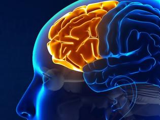 Φωτογραφία για New Scientist: Εγκεφαλικό εμφύτευμα βελτιώνει την ανθρώπινη μνήμη