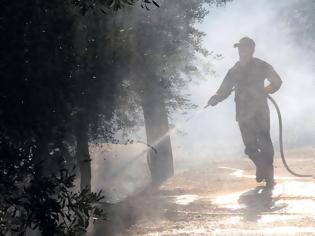 Φωτογραφία για Τραγωδία στη Μυτιλήνη: Ηλικιωμένος πέθανε προσπαθώντας να σβήσει τη φωτιά που έβαλε στο χωράφι του