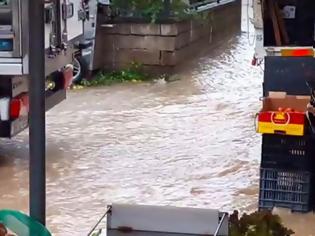 Φωτογραφία για Χαλκίδα: Πλημμύρισε από τη βροχή η λαϊκή αγορά της Κανήθου! (ΦΩΤΟ & ΒΙΝΤΕΟ)
