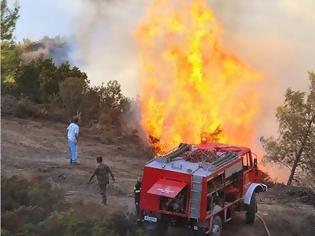 Φωτογραφία για Το κάψιμο των κλαδιών…προκάλεσε μεγάλη φωτιά στα Χανιά