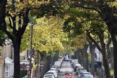 Λιγότερα περιστατικά άσθματος στις γειτονιές με πολλά δέντρα, σύμφωνα με έρευνα