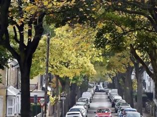 Φωτογραφία για Λιγότερα περιστατικά άσθματος στις γειτονιές με πολλά δέντρα, σύμφωνα με έρευνα