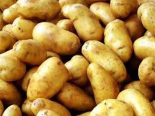 Φωτογραφία για Πώς να διατηρείτε τις πατάτες σας για περισσότερο καιρό