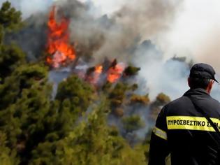 Φωτογραφία για Χάθηκαν οι πυροσβέστες επιστρέφοντας από την ανεξήγητη φωτιά στον Χελμό - Τους βοήθησαν οι βοσκοί