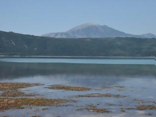 Φωτογραφία για Ο Γ. Βαρεμένος για την Αμβρακία, τα Ακαρνανικά Όρη και τον Φορέα Διαχείρισης Λιμνοθαλασσών