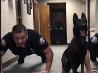Φωτογραφία για Αστυνομικός σκύλος πέφτει και παίρνει μαζί με τους συναδέλφους του (βίντεο)