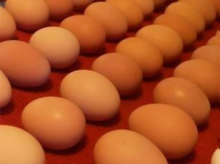 Φωτογραφία για Τσέκαρε με ένα απλό τεστ εάν τα αυγά σου είναι φρέσκα!